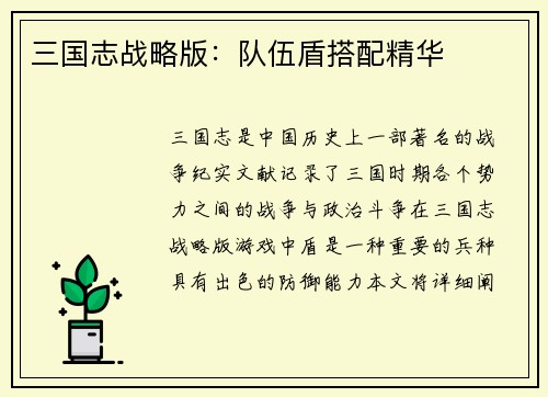 三国志战略版：队伍盾搭配精华